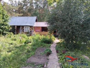 Отличная дача Большебрусянское в Джанкое - dzhankoj.yutvil.ru - фото 2 Отличная дача Большебрусянское в Джанкое - dzhankoj.yutvil.ru - фото 2