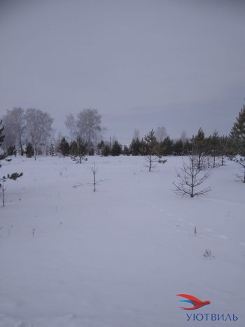 Земельный участок поселок Баженово в Джанкое - dzhankoj.yutvil.ru - фото 2 Земельный участок поселок Баженово в Джанкое - dzhankoj.yutvil.ru - фото 2