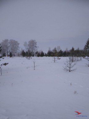 Баженово ул Южная д 7 в Джанкое - dzhankoj.yutvil.ru - фото 2