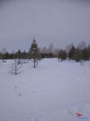 Баженово ул Южная д 7 в Джанкое - dzhankoj.yutvil.ru - фото 5 Баженово ул Южная д 7 в Джанкое - dzhankoj.yutvil.ru - фото 5