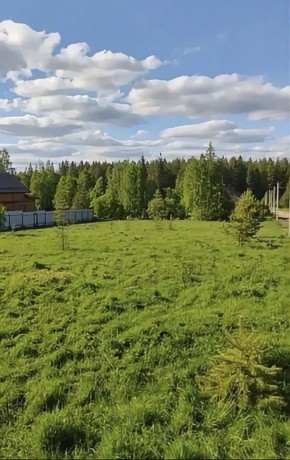 ДП Родной в Джанкое - dzhankoj.yutvil.ru - фото 4