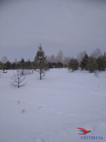 Земельный участок поселок Баженово в Джанкое - dzhankoj.yutvil.ru - фото 5