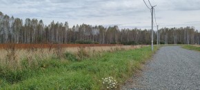 с. Новоалексеевское, КП Оникс,  в Джанкое - dzhankoj.yutvil.ru - фото 2