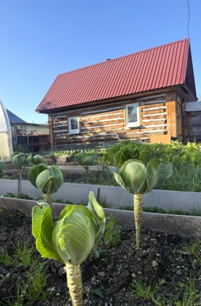 СНТ Дорожник, 97 в Джанкое - dzhankoj.yutvil.ru - фото 19