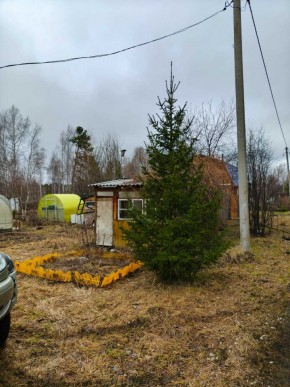 СНТ Родники в Джанкое - dzhankoj.yutvil.ru - фото 5