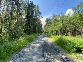 СПК Юбилейный, уч. 9 в Джанкое - dzhankoj.yutvil.ru - фото 4