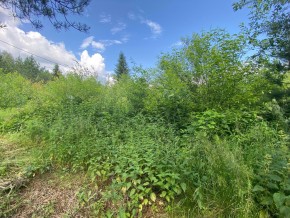 СПК Юбилейный, уч. 9 в Джанкое - dzhankoj.yutvil.ru - фото 13