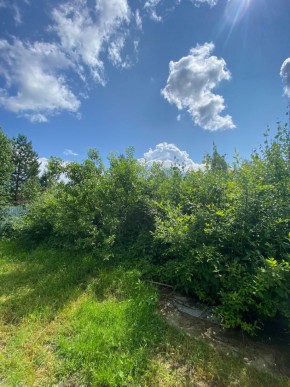 СПК Юбилейный, уч. 9 в Джанкое - dzhankoj.yutvil.ru - фото 14
