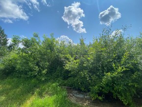 СПК Юбилейный, уч. 9 в Джанкое - dzhankoj.yutvil.ru - фото 15