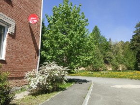 ул. Сосновая, 8 в Джанкое - dzhankoj.yutvil.ru - фото 25 ул. Сосновая, 8 в Джанкое - dzhankoj.yutvil.ru - фото 25