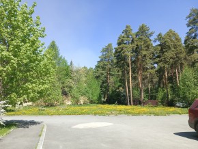 ул. Сосновая, 8 в Джанкое - dzhankoj.yutvil.ru - фото 26 ул. Сосновая, 8 в Джанкое - dzhankoj.yutvil.ru - фото 26