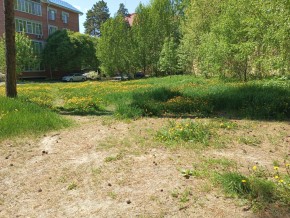 ул. Сосновая, 8 в Джанкое - dzhankoj.yutvil.ru - фото 33 ул. Сосновая, 8 в Джанкое - dzhankoj.yutvil.ru - фото 33
